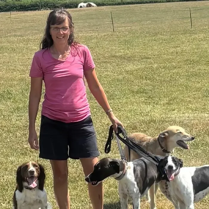 close up of liz with lots of dogs on leads