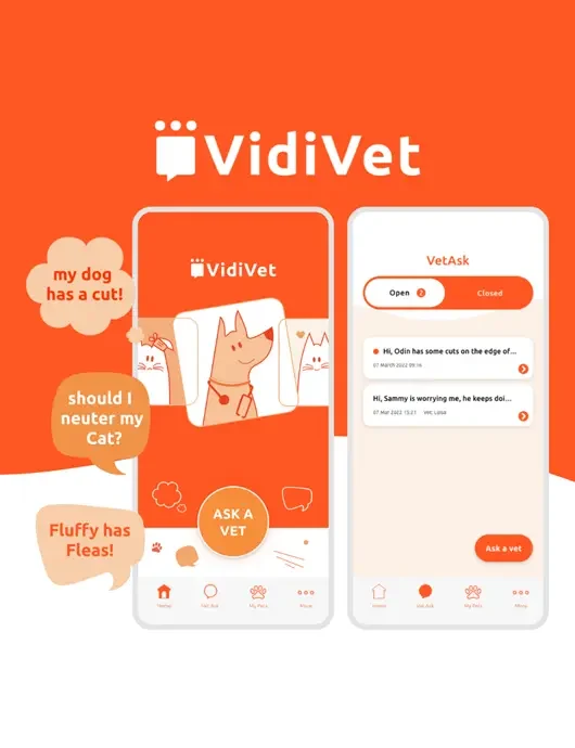 vidivet app explanation branding